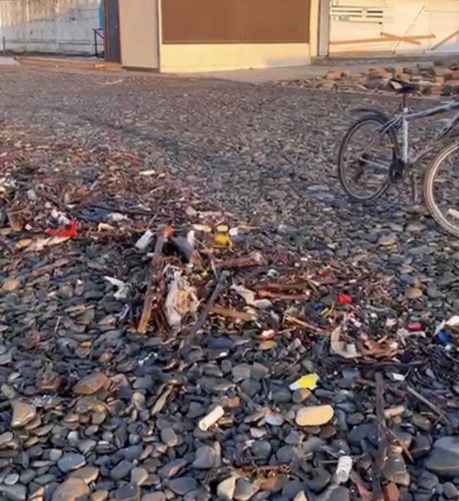 Мазут, мусор и трупы птиц — печальную картину запечатлели на пляже близ Новороссийска
